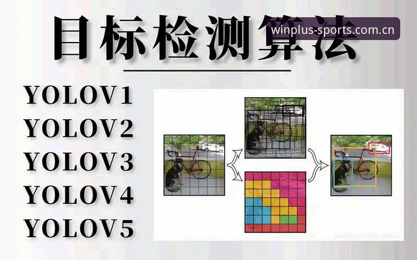 盈嘉体育使用教程 盈嘉体育平台全面解析:从注册到深度使用的完整教程